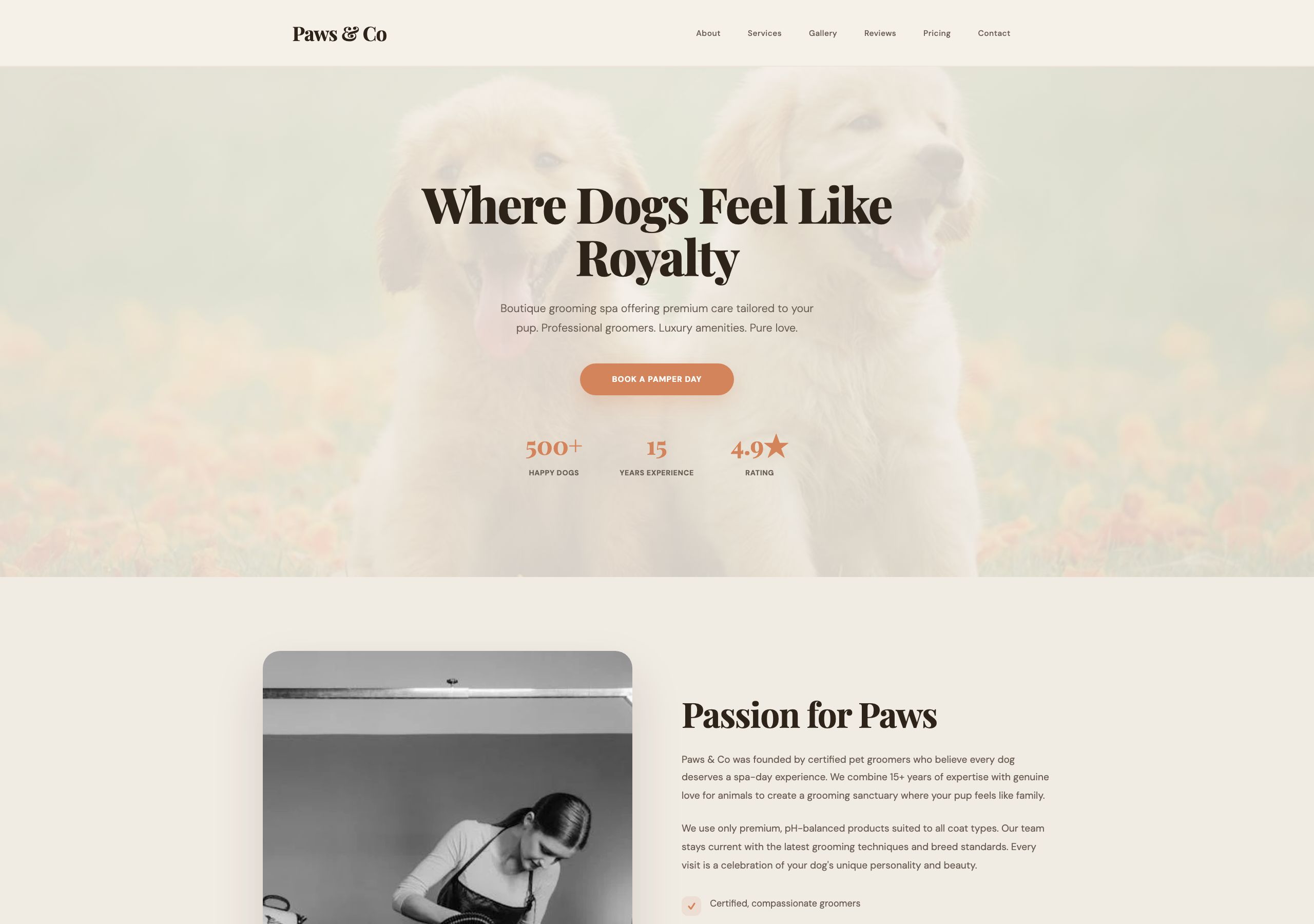Paws & Co — Pet Groomer